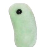 Flu Plushie