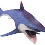 Helicoprion (JWTG Design)