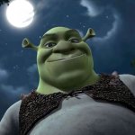 Shrek smile at night