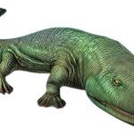 Acanthostega 2 (JWTG Design)
