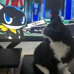 don't mess with morgana
