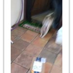 How was your delivery?