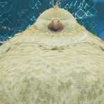 Fatass chicken
