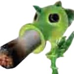 plant smoke