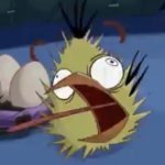Shock Chuck