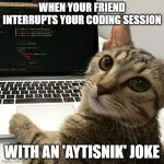 "Aytişnik" | WHEN YOUR FRIEND INTERRUPTS YOUR CODING SESSION; WITH AN 'AYTISNIK' JOKE | image tagged in coding cat | made w/ Imgflip meme maker