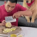 K9 Retribution | image tagged in gifs,k9 retribution | made w/ Imgflip video-to-gif maker