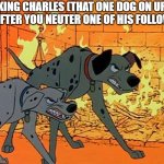 e | KING CHARLES (THAT ONE DOG ON UR FYP) AFTER YOU NEUTER ONE OF HIS FOLLOWERS: | image tagged in 101 dalmatians,king charles,dogs,followers,memes,lol so funny | made w/ Imgflip meme maker