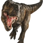 Tyrannosaurus Rex 3 (JWR Design)