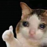 Crying thumbs up cat