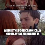 Explanation in the comments | WINNIE THE POOH CANONICALLY KNOWS WHAT MARIJUANA IS; WUT | image tagged in tell me the truth i'm ready to hear it,spiderman,winnie the pooh,marijuana,huh | made w/ Imgflip meme maker