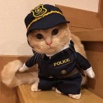 Cat police