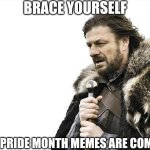 . | BRACE YOURSELF; THE PRIDE MONTH MEMES ARE COMING | image tagged in memes,brace yourselves x is coming | made w/ Imgflip meme maker