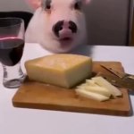 pig GIF Template