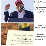 Trump Criminals