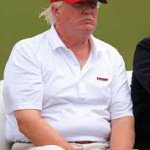 Fat Nixon