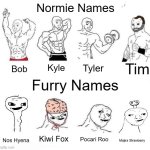 Normie vs. Furry Names | Normie Names; Tim; Kyle; Tyler; Bob; Furry Names; Kiwi Fox; Pocari Roo; Nos Hyena; Majira Strawberry | image tagged in x in the past vs x now,furry,names | made w/ Imgflip meme maker