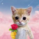 Cat Giving Rose