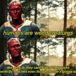 Take note, humans | humans are weird creatures; like, why do they care if all of their socks are perfectly matched even though no one's gonna see it? | image tagged in well i was born yesterday,vision,avengers,marvel,socks,lol so funny | made w/ Imgflip meme maker