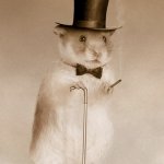 Gentlemen Hamster
