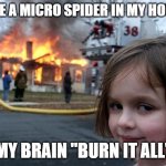 Disaster Girl | I SEE A MICRO SPIDER IN MY HOUSE; MY BRAIN "BURN IT ALL" | image tagged in memes,disaster girl | made w/ Imgflip meme maker