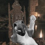 silence cat