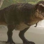 copium rex