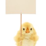 Chick with sign