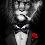 the lion does not