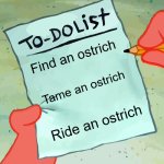 Ostrich forever | Find an ostrich; Tame an ostrich; Ride an ostrich | image tagged in patrick to do list actually blank,ostrich,ostrichisthenewcat,knightmare | made w/ Imgflip meme maker