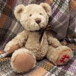 Murder bear
