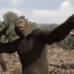 danceing monkeys