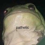 frog