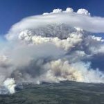 wildfires smoke meme