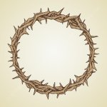 Crown of thorns
