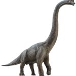 Brachiosaurus 7