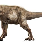 Feathered Tyrannosaurus Rex 3 (JWD Design)