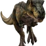 Tyrannosaurus Rex 4 (JWR Design)