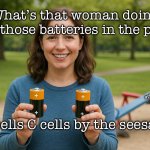 Woman selling batteries | What’s that woman doing with those batteries in the park? @papabogey; She sells C cells by the seesaw … | image tagged in woman batteries seesaw park | made w/ Imgflip meme maker