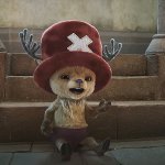 chopper live action