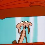 wile e coyote crushed
