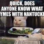 Smudge that darn cat | QUICK, DOES ANYONE KNOW WHAT RHYMES WITH NANTUCKET? | image tagged in smudge that darn cat | made w/ Imgflip meme maker