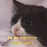 Cat Nightmare Begins Again