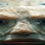 Bone-fish template