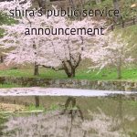 shira’s PSA meme