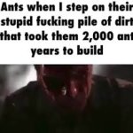 ants when i step on their pile of dirt