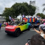 Gay Tesla