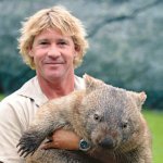 Steve Irwin with a wombat template