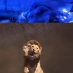 Down goes Mufasa (Live-Action)!