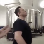 Musk high again